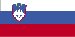 slovenian Beachwood Branch, Beachwood (Ohio) 44122, 22835 Chagrin Blvd